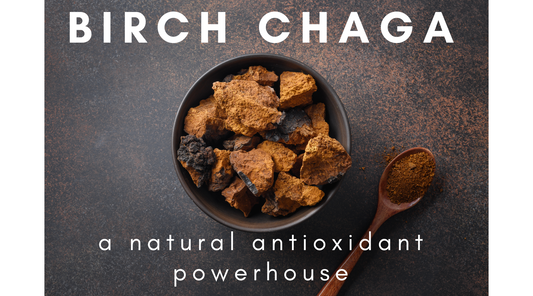 Unveiling the Power of Antioxidants: Understanding Oxidative Stress and the Birch Chaga Connection