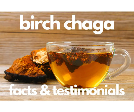 Birch Chaga Testimonials and Facts: We've Got You Covered